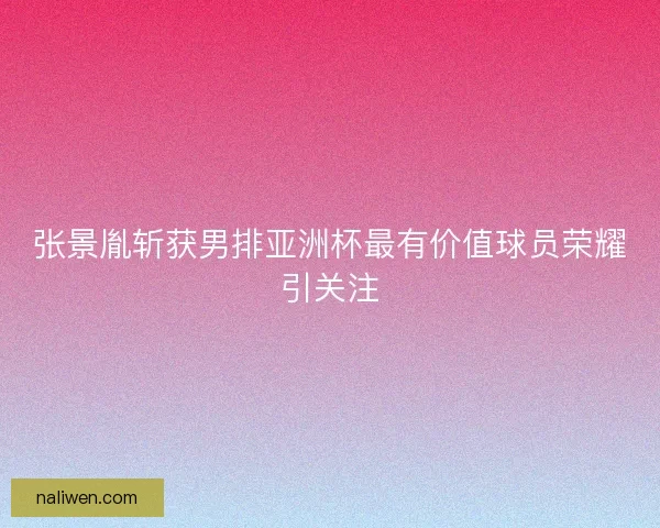 张景胤斩获男排亚洲杯最有价值球员荣耀引关注 张景胤斩获男排亚洲杯最有价值球员荣耀引关注